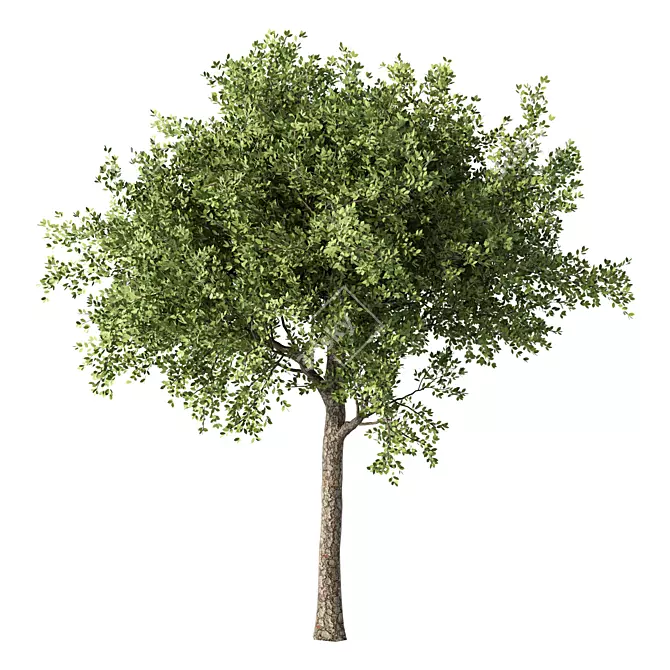 Enhanced Tree Sculpture: No.83 3D model image 1