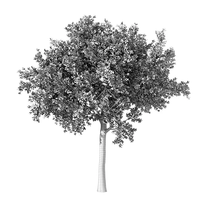 Enhanced Tree Sculpture: No.83 3D model image 4