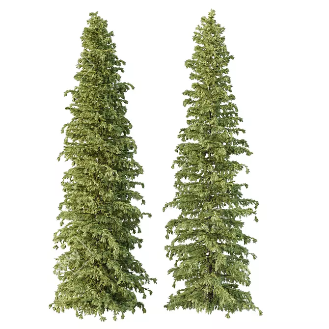 Cedar Tree Models Set 3D model image 2