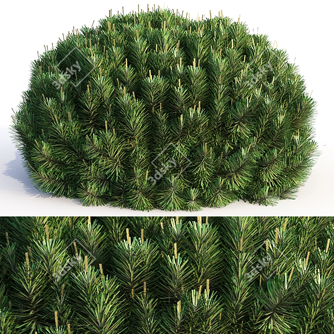 Landscaping Bushes Pack - 3D Models 3D model image 2