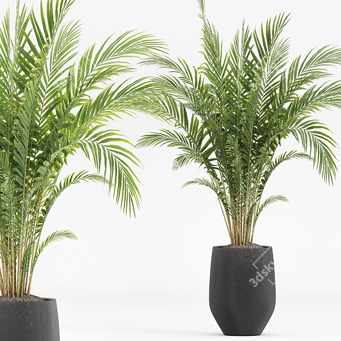 Minimalist Indoor Plants Set 043 3D model image 4
