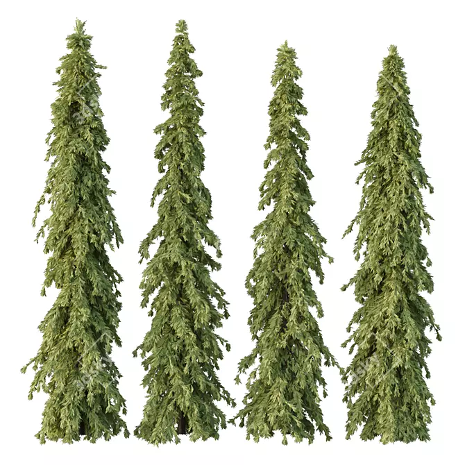 Cedrus Deodara 3D Tree Models 3D model image 1