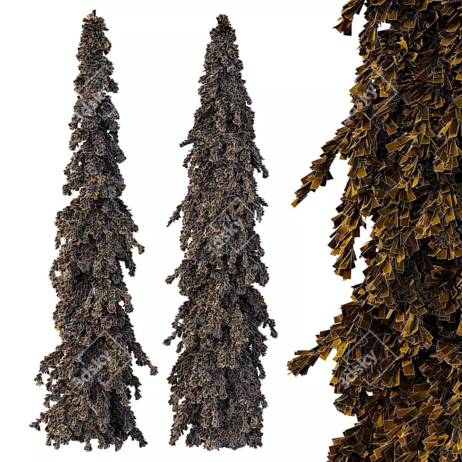 Cedrus Deodara 3D Tree Models 3D model image 4