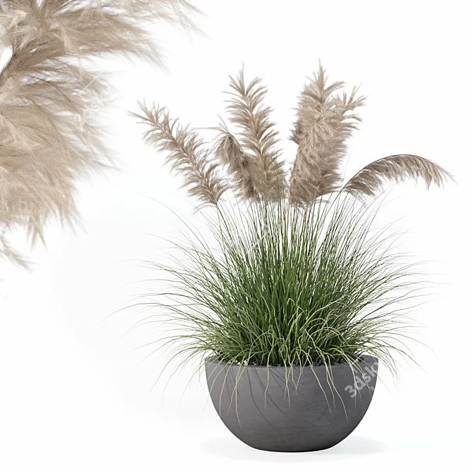 High-Quality Grass Plant Collection 3D model image 1