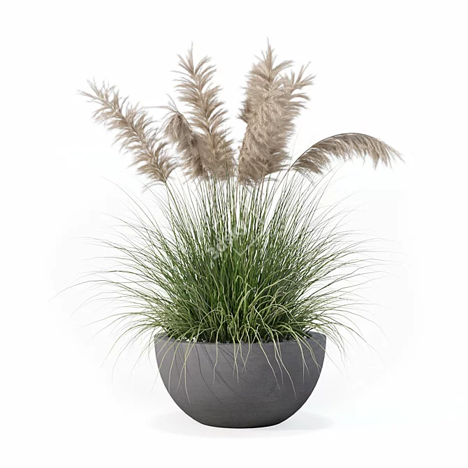 High-Quality Grass Plant Collection 3D model image 4