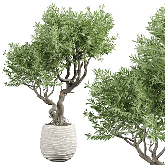 Luxury Indoor Plant 3D Model 3D model image 1