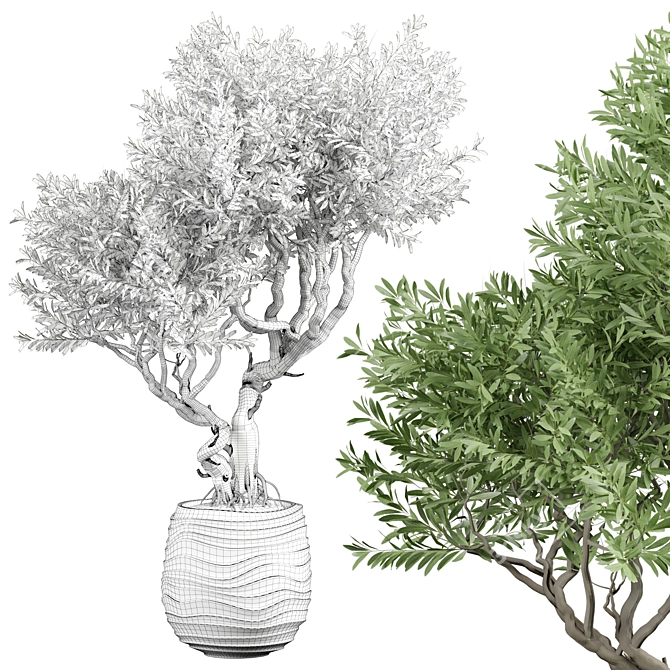 Luxury Indoor Plant 3D Model 3D model image 2