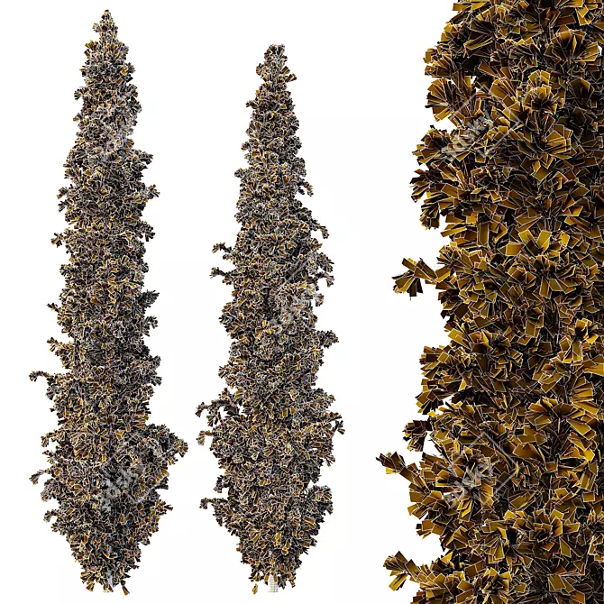 Cedrus Deodara 3D Model Collection 3D model image 3