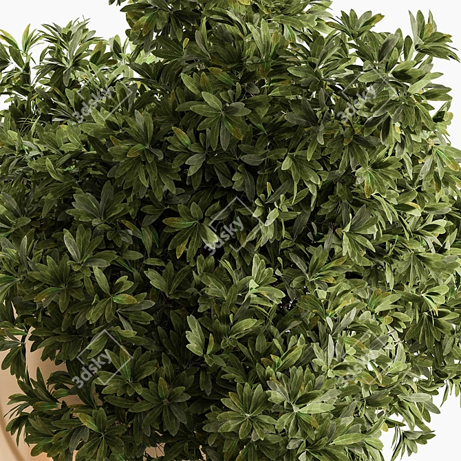 Hanging Indoor Plant 690 3D model image 3