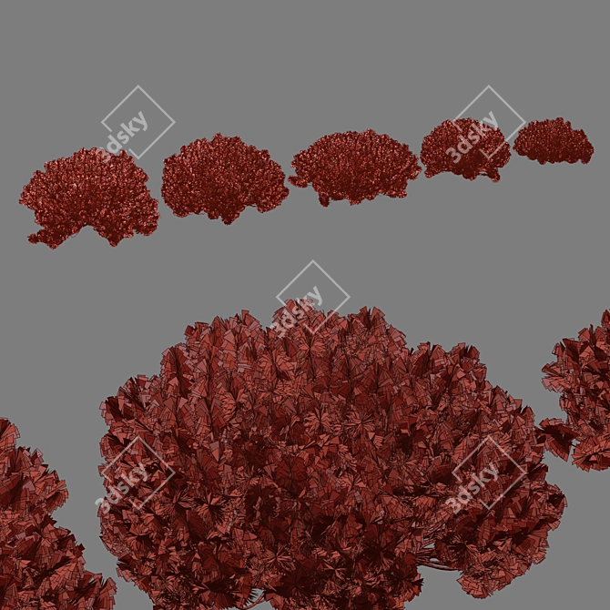  Pine Bushes Vol. 255 Bundle 3D model image 7