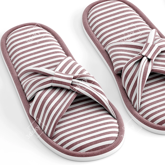 Slippers with 2 Options 3D model image 4