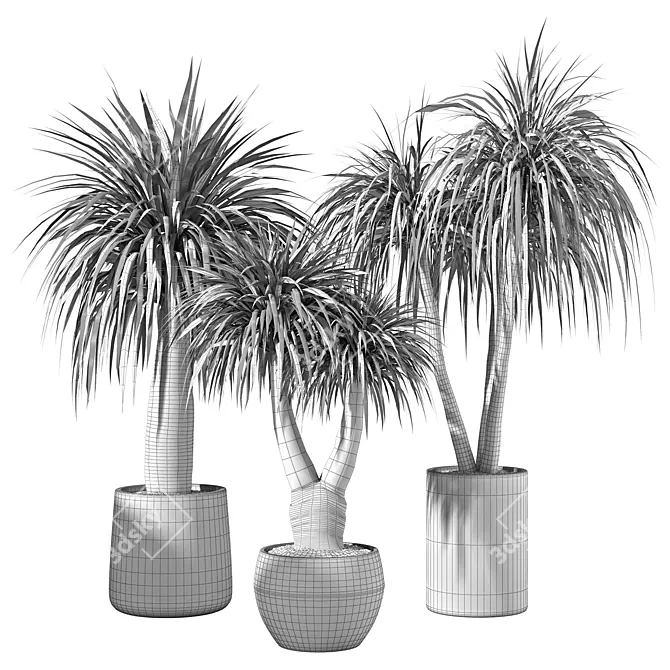 Modern Minimalist Indoor Plant Set 3D model image 5