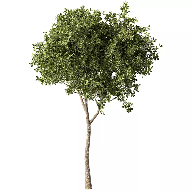 Sculptural Metal Tree Statue 3D model image 1