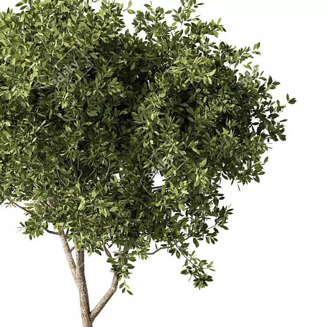 Sculptural Metal Tree Statue 3D model image 2