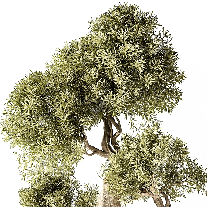 Modern Indoor Plant Model 3D model image 2