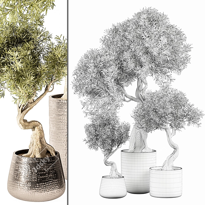 Modern Indoor Plant Model 3D model image 3