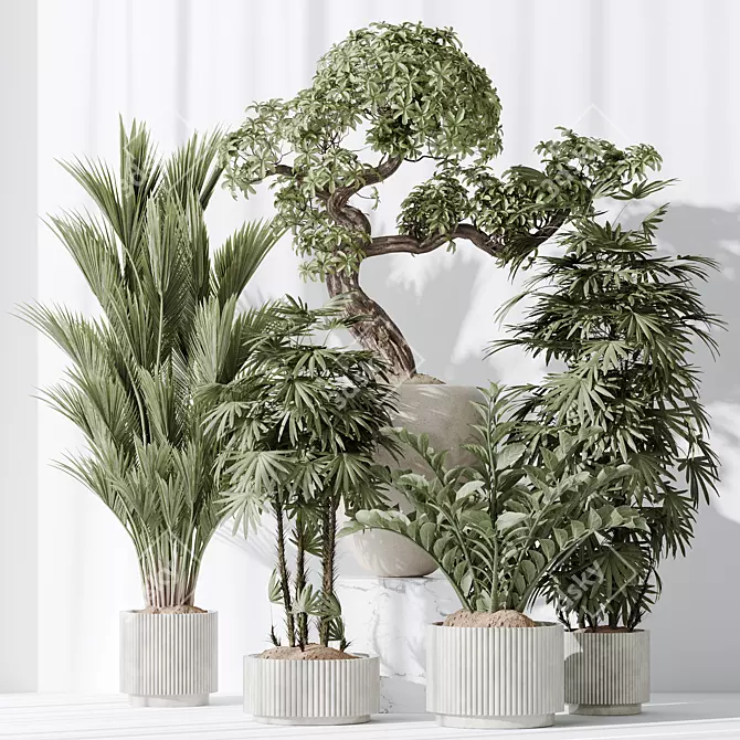 5 Model Indoor Plant Set 3D model image 2