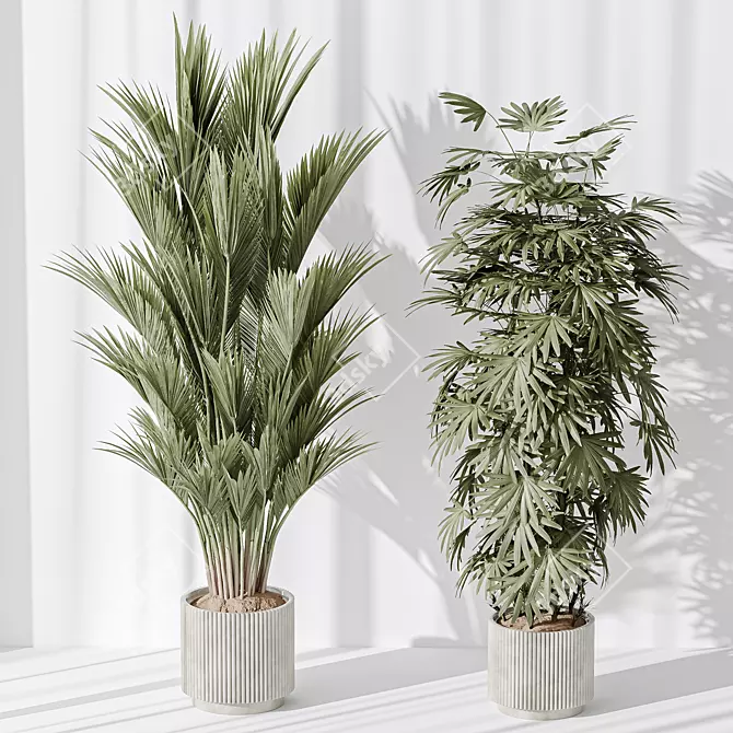 5 Model Indoor Plant Set 3D model image 3