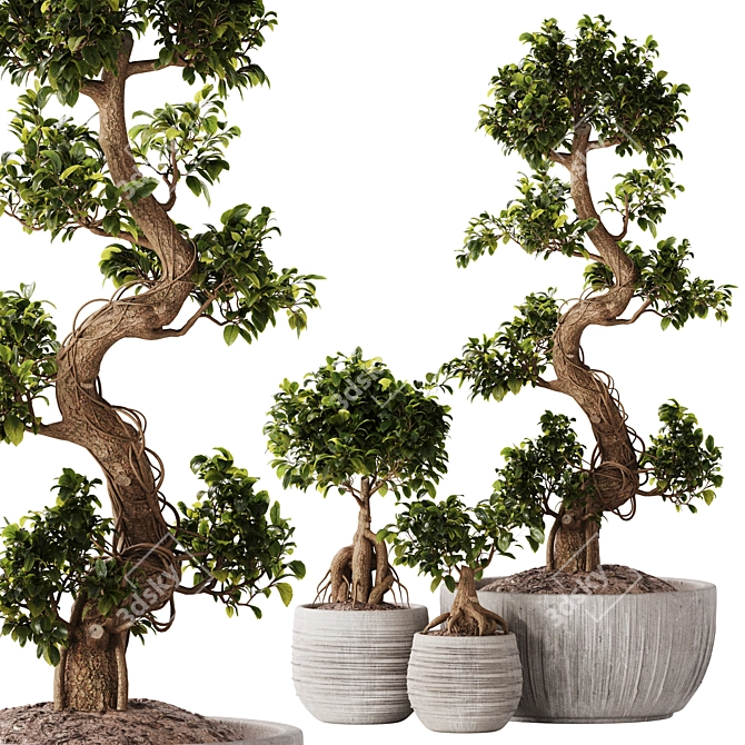 TurboSmooth Bonsai Set with V-Ray & Corona Render 3D model image 1