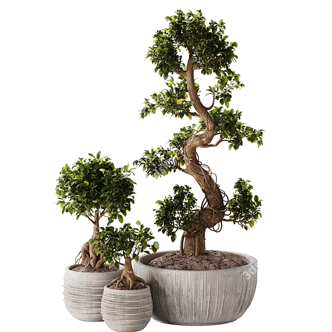 TurboSmooth Bonsai Set with V-Ray & Corona Render 3D model image 4