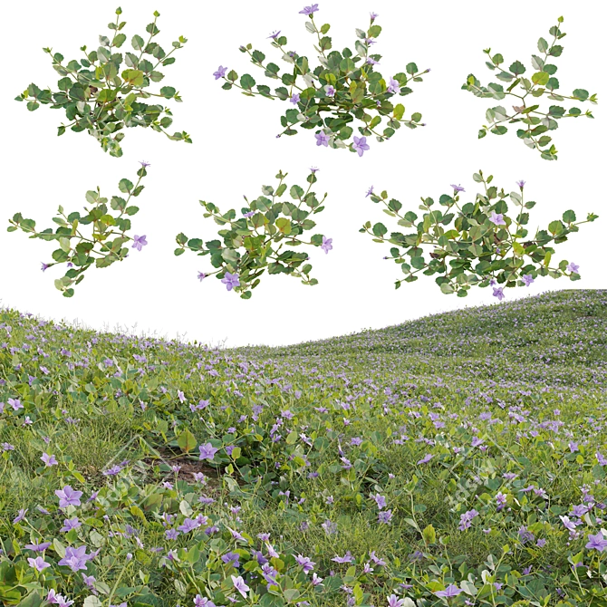  3D Plant Variations Collection 3D model image 1