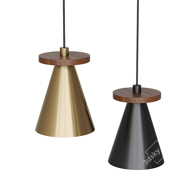 Piet Cone Wood Brass Lamp 3D model image 2