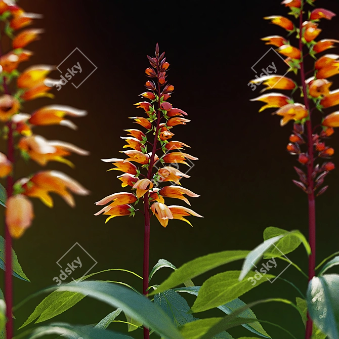 Canary Flower Digitalis Collection 3D model image 5