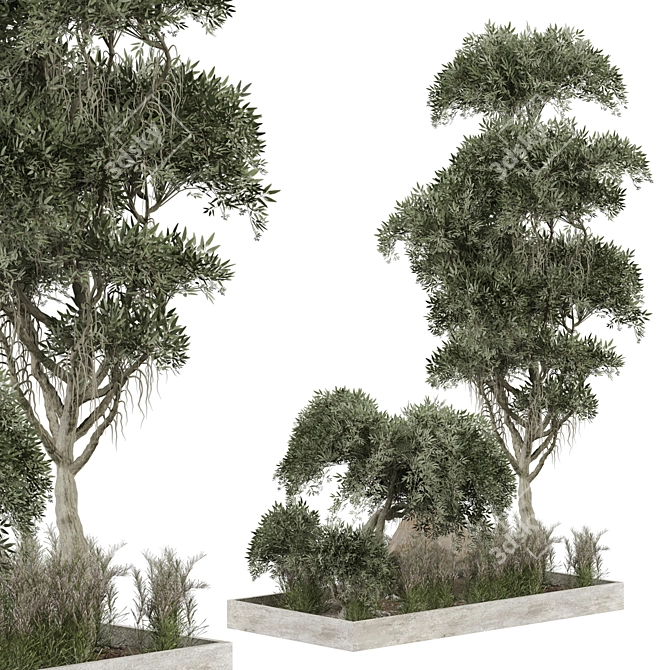 Outdoor Plant 267 3D Model 3D model image 2