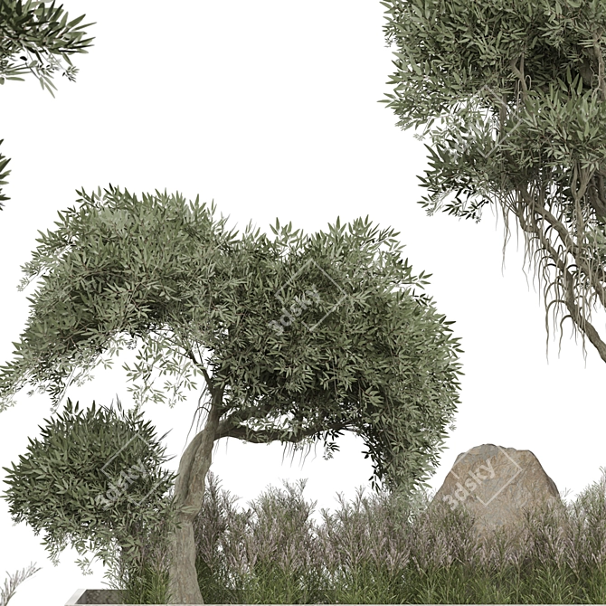 Outdoor Plant 267 3D Model 3D model image 3