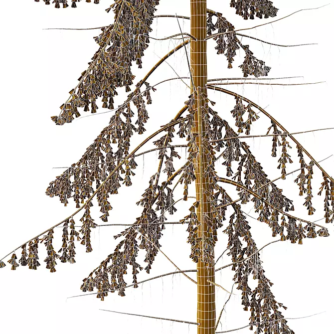 Spruce Tree02 | 3D Model Kit 3D model image 4