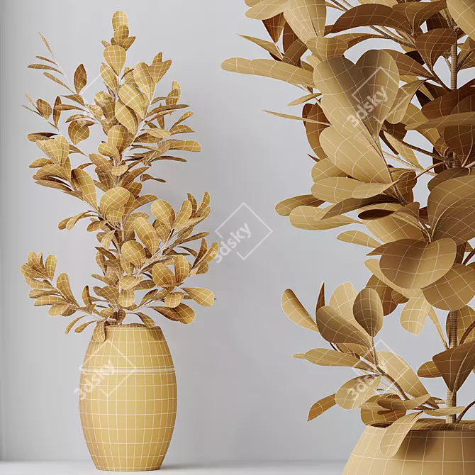 Healthy Ficus Microcarpa Houseplant Set 3D model image 5