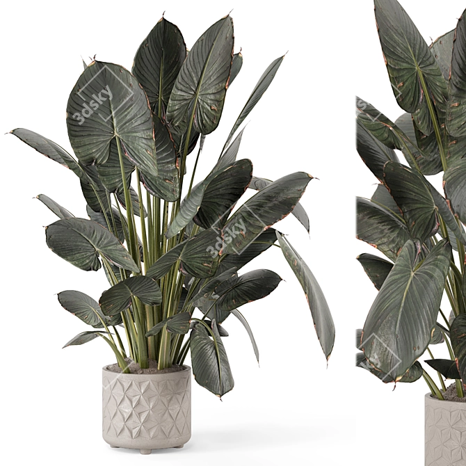 Modern Indoor Plant with Stylish Pot 3D model image 1