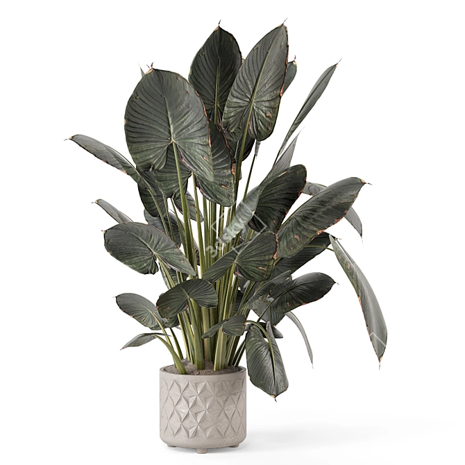 Modern Indoor Plant with Stylish Pot 3D model image 3