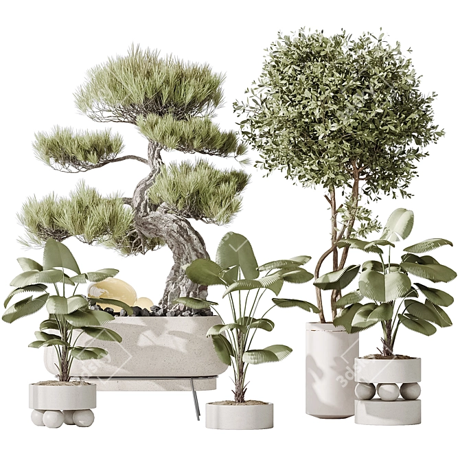5 Indoor Plant 3D Models 3D model image 1