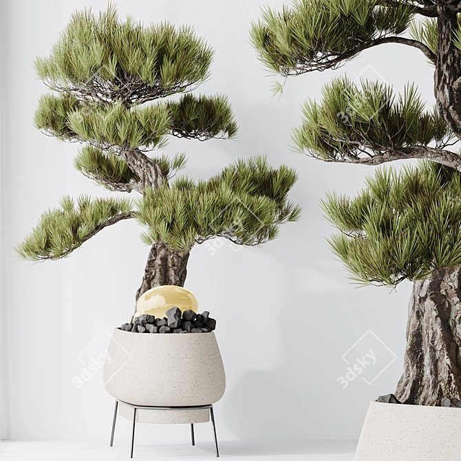 5 Indoor Plant 3D Models 3D model image 3
