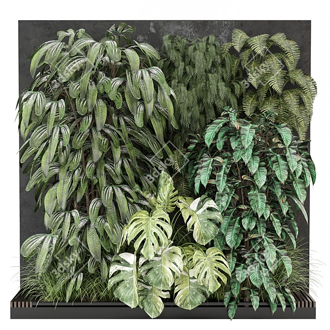 Outdoor Plants Collection | 3D Model 3D model image 1