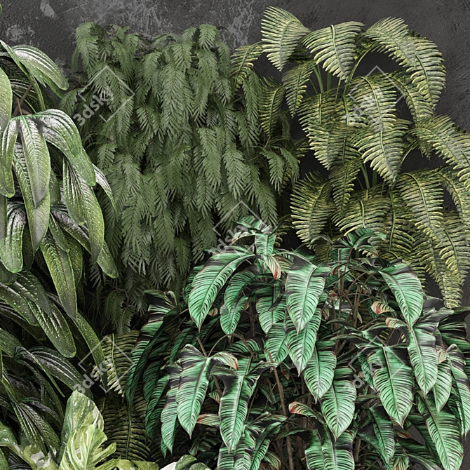 Outdoor Plants Collection | 3D Model 3D model image 4