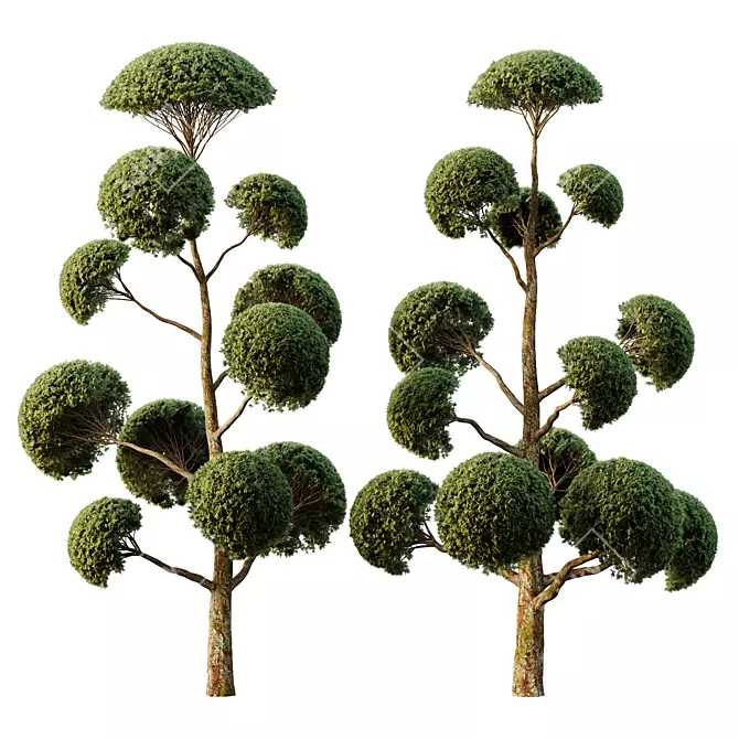 Elegant Spherical Tree Models 3D model image 1