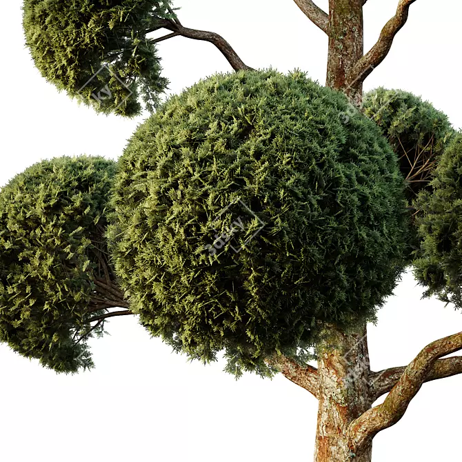 Elegant Spherical Tree Models 3D model image 3