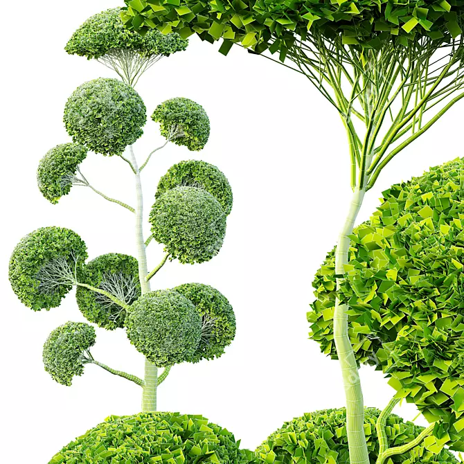 Elegant Spherical Tree Models 3D model image 5