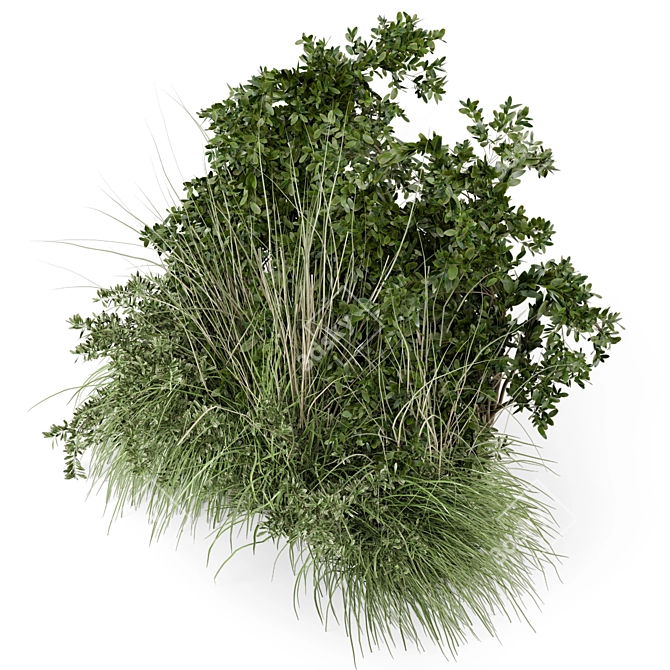 Lush Outdoor Bush Set 3D 3D model image 2