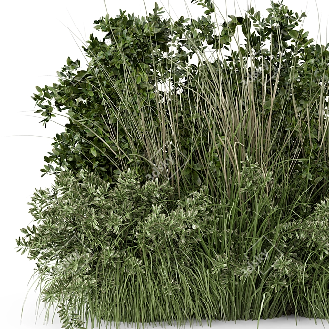 Lush Outdoor Bush Set 3D 3D model image 3