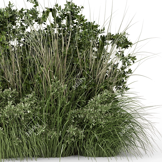 Lush Outdoor Bush Set 3D 3D model image 4