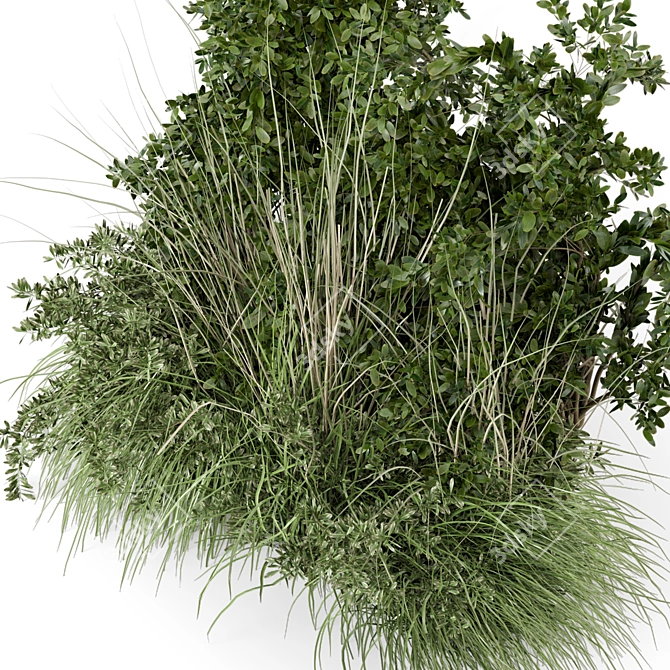 Lush Outdoor Bush Set 3D 3D model image 5