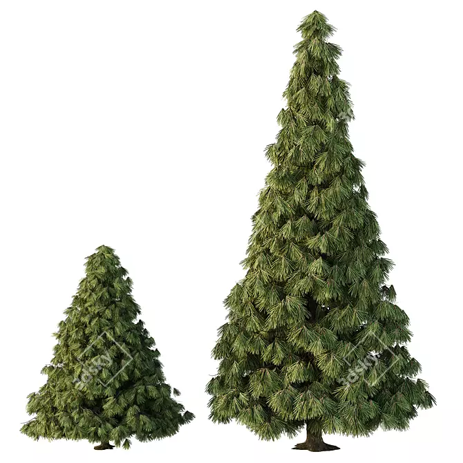 Virtual Spruce Tree Collection 3D model image 2