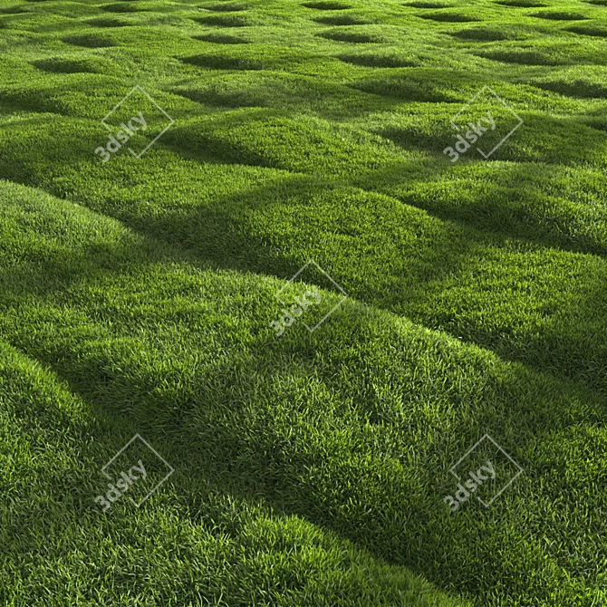 Grass Scatter 3D Model Kit 3D model image 1