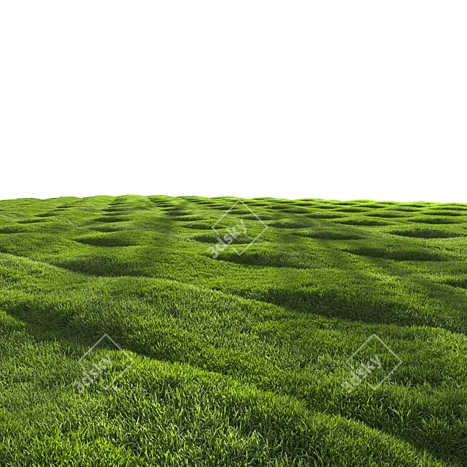 Grass Scatter 3D Model Kit 3D model image 3