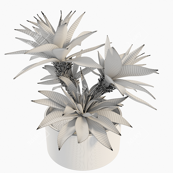 Majestic Potted Agave Plant 3D model image 4