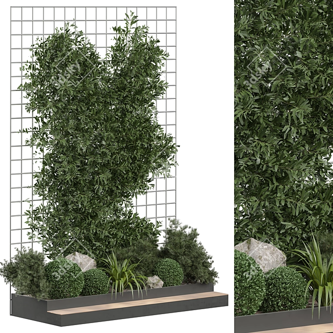 Outdoor Plant 268 3D Model 3D model image 1
