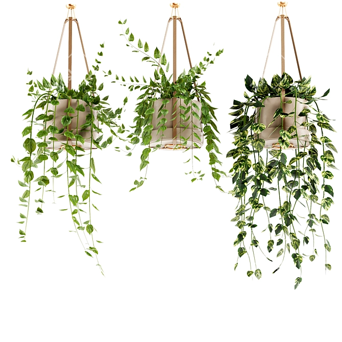 Hanging Ivy Plants Set25 Pot 3D model image 1